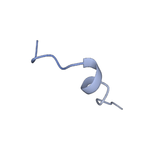 25697_7t57_C_v1-2
Cryo-EM structure of PCAT1 in the inward-facing narrow conformation under ATP turnover condition