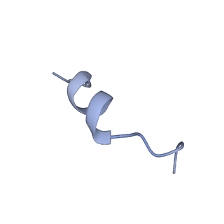 25697_7t57_D_v1-2
Cryo-EM structure of PCAT1 in the inward-facing narrow conformation under ATP turnover condition