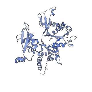 25707_7t5q_A_v1-1
Cryo-EM Structure of a Transition State of Arp2/3 Complex Activation