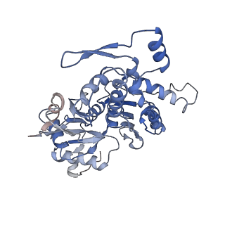 25707_7t5q_B_v1-1
Cryo-EM Structure of a Transition State of Arp2/3 Complex Activation