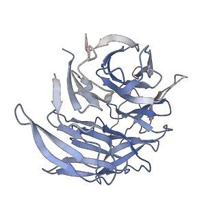 25707_7t5q_C_v1-1
Cryo-EM Structure of a Transition State of Arp2/3 Complex Activation