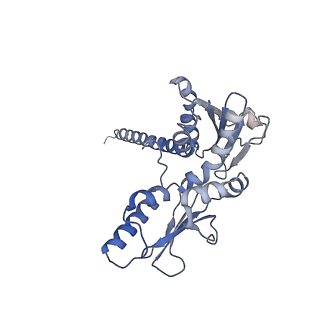 25707_7t5q_D_v1-1
Cryo-EM Structure of a Transition State of Arp2/3 Complex Activation