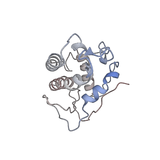 25707_7t5q_E_v1-1
Cryo-EM Structure of a Transition State of Arp2/3 Complex Activation