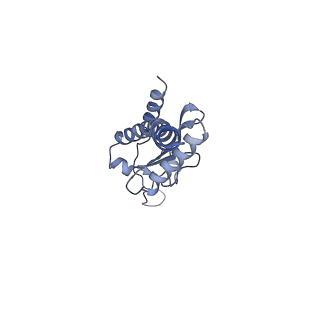 25707_7t5q_F_v1-1
Cryo-EM Structure of a Transition State of Arp2/3 Complex Activation