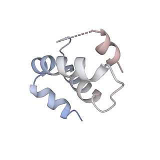 25707_7t5q_G_v1-1
Cryo-EM Structure of a Transition State of Arp2/3 Complex Activation