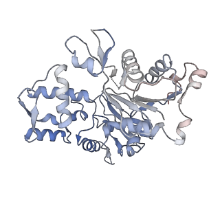 25707_7t5q_H_v1-1
Cryo-EM Structure of a Transition State of Arp2/3 Complex Activation