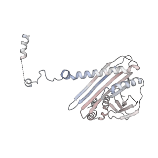 25707_7t5q_I_v1-1
Cryo-EM Structure of a Transition State of Arp2/3 Complex Activation