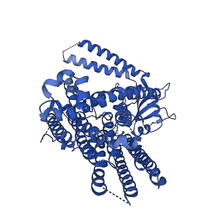 41043_8t56_A_v1-0
Structure of mechanically activated ion channel OSCA1.2 in peptidiscs