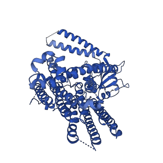 41043_8t56_A_v1-1
Structure of mechanically activated ion channel OSCA1.2 in peptidiscs