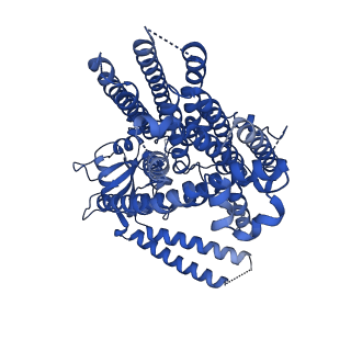 41043_8t56_B_v1-0
Structure of mechanically activated ion channel OSCA1.2 in peptidiscs