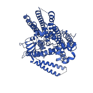 41043_8t56_B_v1-1
Structure of mechanically activated ion channel OSCA1.2 in peptidiscs