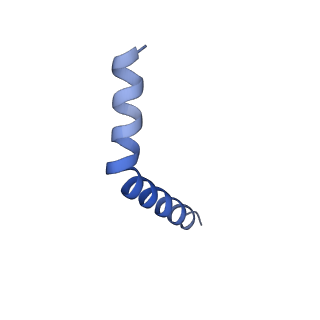 41043_8t56_C_v1-0
Structure of mechanically activated ion channel OSCA1.2 in peptidiscs