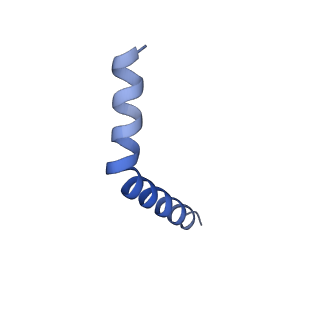 41043_8t56_C_v1-1
Structure of mechanically activated ion channel OSCA1.2 in peptidiscs