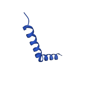 41043_8t56_D_v1-0
Structure of mechanically activated ion channel OSCA1.2 in peptidiscs