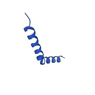 41043_8t56_D_v1-1
Structure of mechanically activated ion channel OSCA1.2 in peptidiscs