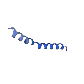 41043_8t56_E_v1-0
Structure of mechanically activated ion channel OSCA1.2 in peptidiscs