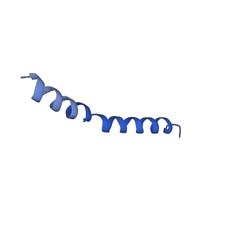 41043_8t56_E_v1-1
Structure of mechanically activated ion channel OSCA1.2 in peptidiscs