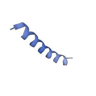 41043_8t56_F_v1-0
Structure of mechanically activated ion channel OSCA1.2 in peptidiscs