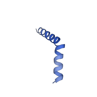 41043_8t56_G_v1-0
Structure of mechanically activated ion channel OSCA1.2 in peptidiscs