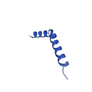 41043_8t56_H_v1-1
Structure of mechanically activated ion channel OSCA1.2 in peptidiscs