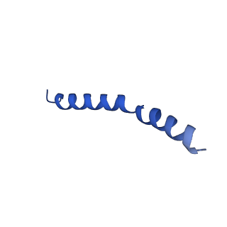 41043_8t56_I_v1-1
Structure of mechanically activated ion channel OSCA1.2 in peptidiscs