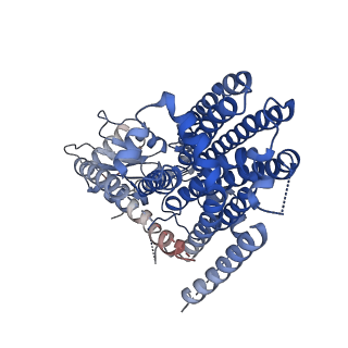 41044_8t57_A_v1-0
Structure of mechanically activated ion channel OSCA2.3 in peptidiscs