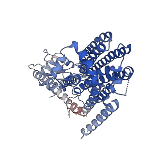 41044_8t57_A_v1-1
Structure of mechanically activated ion channel OSCA2.3 in peptidiscs