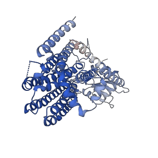 41044_8t57_B_v1-1
Structure of mechanically activated ion channel OSCA2.3 in peptidiscs