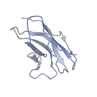 41048_8t5c_L_v1-1
Lassa GPC Trimer in complex with Fab 8.11G and nanobody D5