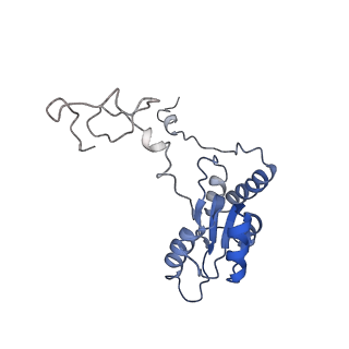 8361_5t5h_I_v1-5
Structure and assembly model for the Trypanosoma cruzi 60S ribosomal subunit