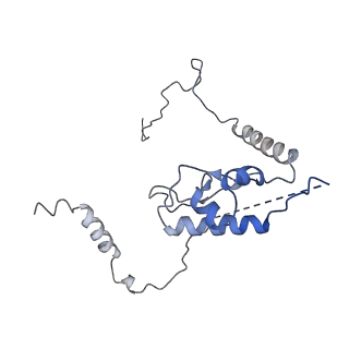 8361_5t5h_N_v1-5
Structure and assembly model for the Trypanosoma cruzi 60S ribosomal subunit