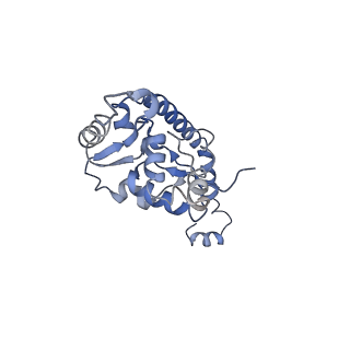 8361_5t5h_O_v1-5
Structure and assembly model for the Trypanosoma cruzi 60S ribosomal subunit