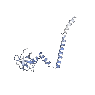 8361_5t5h_P_v1-5
Structure and assembly model for the Trypanosoma cruzi 60S ribosomal subunit