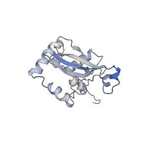 8361_5t5h_Q_v1-5
Structure and assembly model for the Trypanosoma cruzi 60S ribosomal subunit