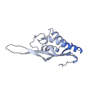 8361_5t5h_R_v1-5
Structure and assembly model for the Trypanosoma cruzi 60S ribosomal subunit