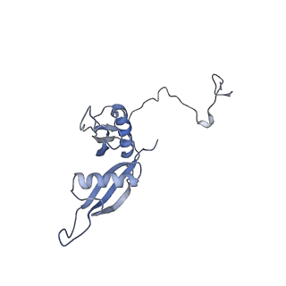 8361_5t5h_S_v1-5
Structure and assembly model for the Trypanosoma cruzi 60S ribosomal subunit