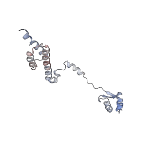 8361_5t5h_T_v1-5
Structure and assembly model for the Trypanosoma cruzi 60S ribosomal subunit