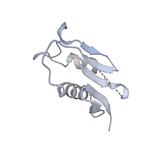 8361_5t5h_V_v1-5
Structure and assembly model for the Trypanosoma cruzi 60S ribosomal subunit