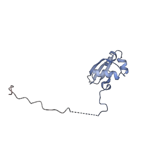 8361_5t5h_X_v1-5
Structure and assembly model for the Trypanosoma cruzi 60S ribosomal subunit