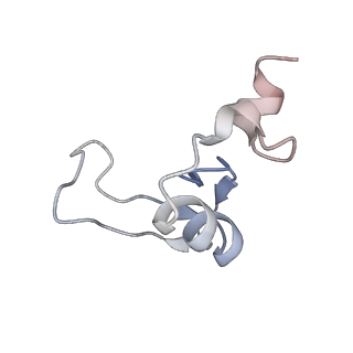 8361_5t5h_Y_v1-5
Structure and assembly model for the Trypanosoma cruzi 60S ribosomal subunit