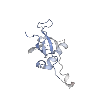8361_5t5h_a_v1-5
Structure and assembly model for the Trypanosoma cruzi 60S ribosomal subunit