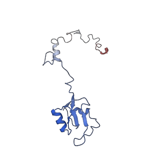 8361_5t5h_b_v1-5
Structure and assembly model for the Trypanosoma cruzi 60S ribosomal subunit