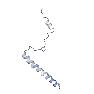 8361_5t5h_d_v1-5
Structure and assembly model for the Trypanosoma cruzi 60S ribosomal subunit