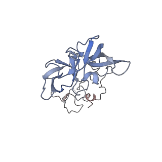 8361_5t5h_e_v1-5
Structure and assembly model for the Trypanosoma cruzi 60S ribosomal subunit