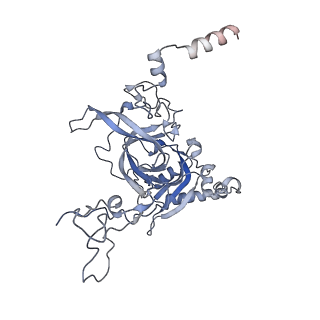 8361_5t5h_f_v1-5
Structure and assembly model for the Trypanosoma cruzi 60S ribosomal subunit