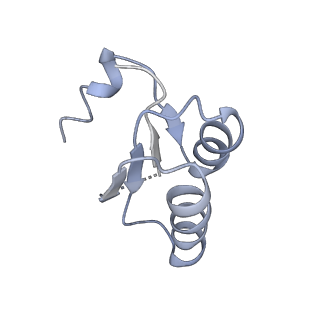 8361_5t5h_g_v1-5
Structure and assembly model for the Trypanosoma cruzi 60S ribosomal subunit