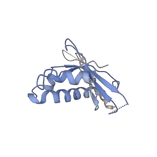 8361_5t5h_h_v1-5
Structure and assembly model for the Trypanosoma cruzi 60S ribosomal subunit
