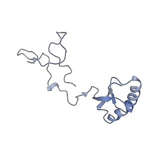 8361_5t5h_i_v1-5
Structure and assembly model for the Trypanosoma cruzi 60S ribosomal subunit