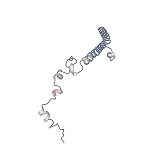 8361_5t5h_k_v1-5
Structure and assembly model for the Trypanosoma cruzi 60S ribosomal subunit