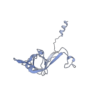 8361_5t5h_l_v1-5
Structure and assembly model for the Trypanosoma cruzi 60S ribosomal subunit